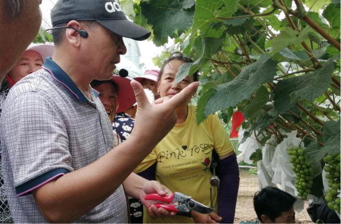培训处副处长徐兆林副教授在葡萄园讲授种植技术.png 培训处副处长徐兆林副教授在葡萄园讲授种植技术.png