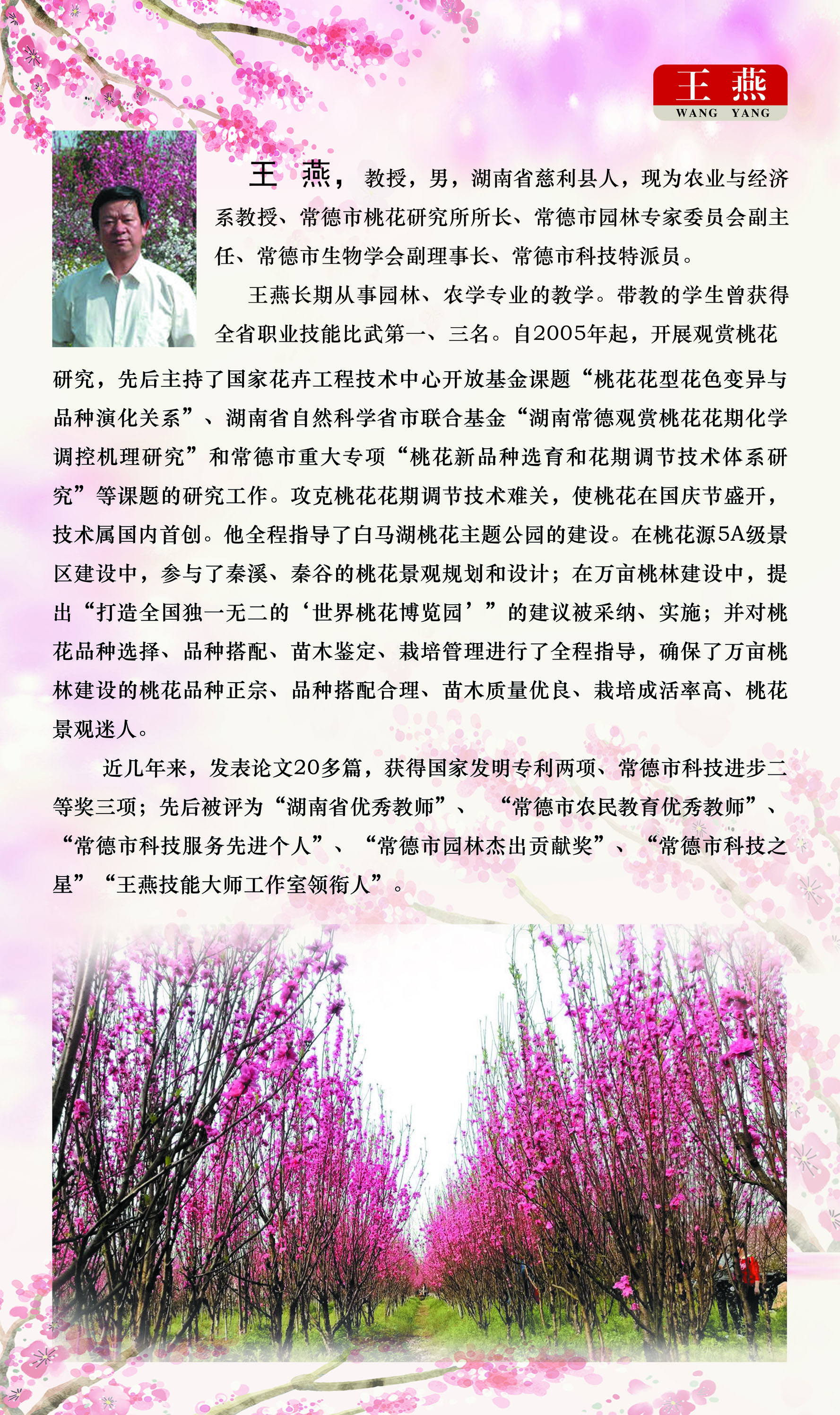 王燕--新小小.jpg